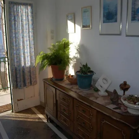 Apartment Rot *
