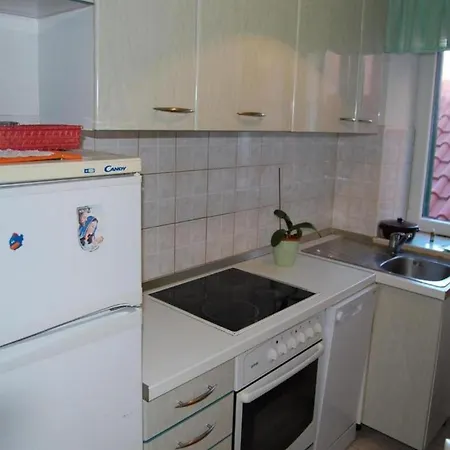 Apartment Rot