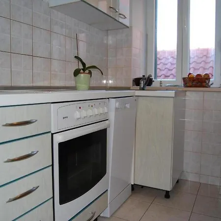 Apartment Rot
