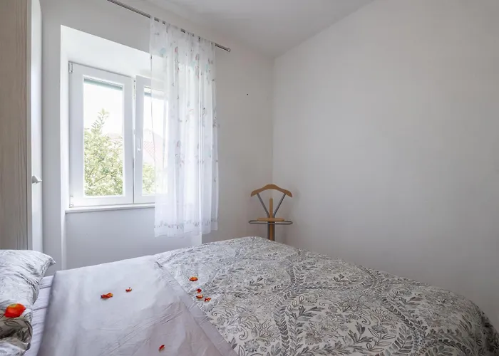 Apartman Rot *